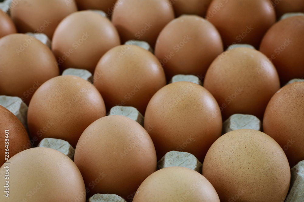 fresh eggs in a paper large tray