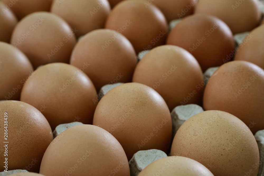 fresh eggs in a paper large tray fresh eggs in a paper large tray