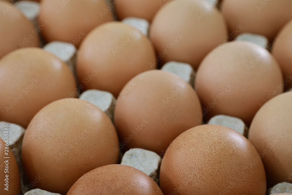 fresh eggs in a paper large tray