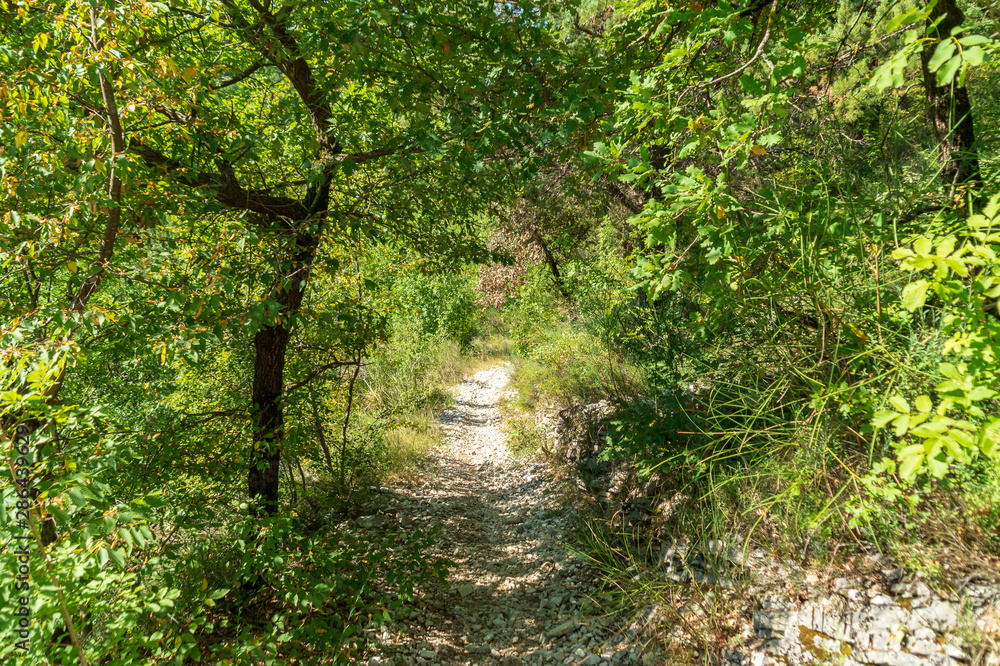 Lungo il sentiero 168 Gola di Jana nelle Marche Lungo il sentiero 168 Gola di Jana nelle Marche