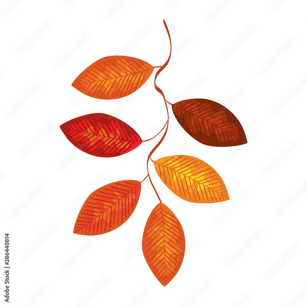 autumn branch with dry leafs nature icon autumn branch with dry leafs nature icon