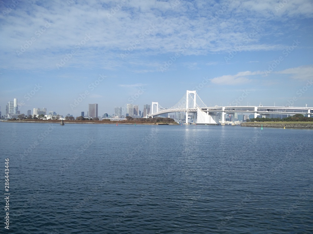 bridge and skyline tokyo