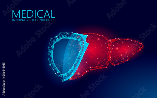 Human liver 3d protection shield medicine low poly concept. Triangle red pharmacy drugstore background. Supplement recovery reconstruction vector illustration