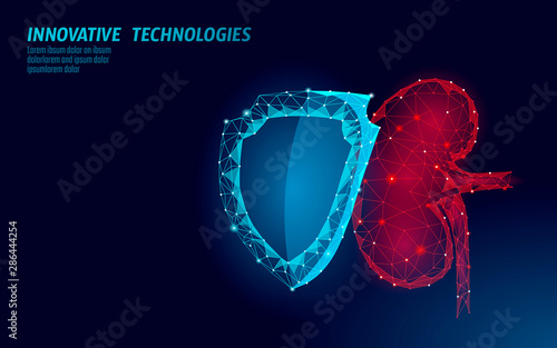 Human kidneys 3d protection shield medicine low poly concept. Triangle red pharmacy drugstore background. Supplement recovery reconstruction vector illustration