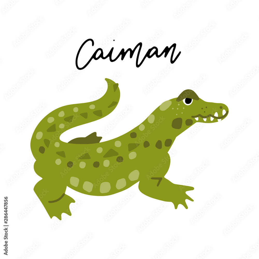 Fototapeta premium South America Animal Clipart Vector Drawing