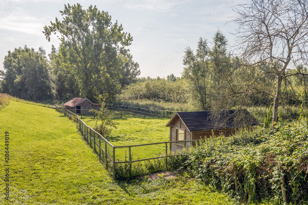 Two small wooden sheds Two small wooden sheds