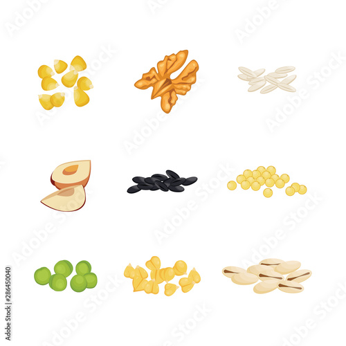 Set groats. Grain on white background. Vector illustration.