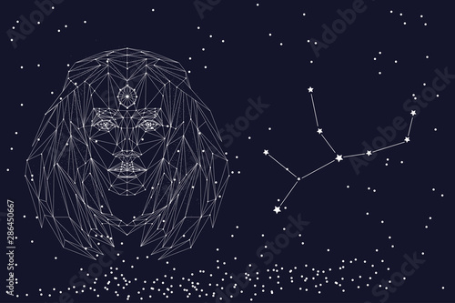 Zodiac sign Virgo. The symbol of the astrological horoscope. Horizontal banner.