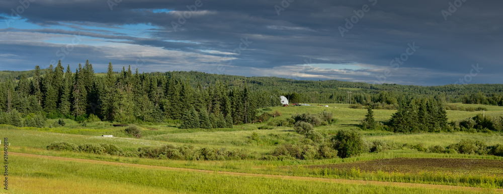 paisaje rural en Edson Alberta Canada, con una pequeña casa de campo, en  medio del bosque