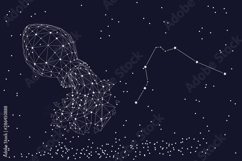 Zodiac sign Aquarius. The symbol of the astrological horoscope. Horizontal banner.