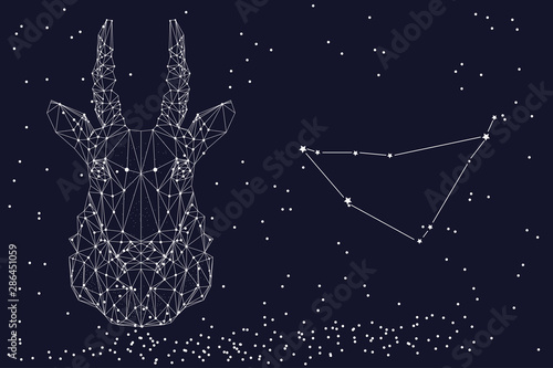 Zodiac sign Capricorn. The symbol of the astrological horoscope. Horizontal banner.