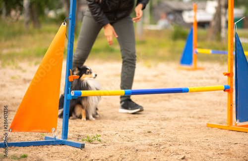 The barrier of yellow, orange and blue color is standing on the agility field in outdoors.