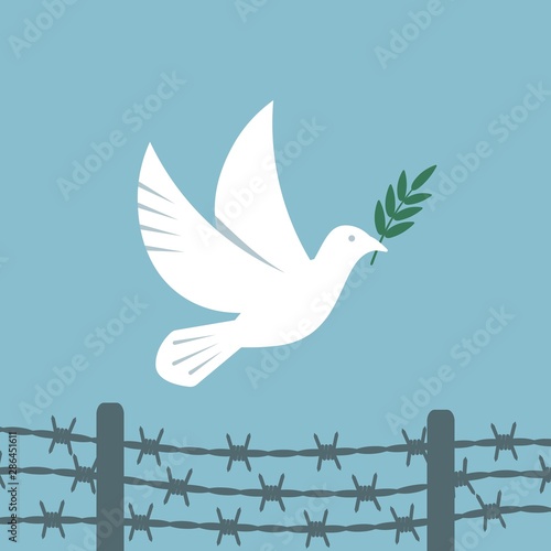 Symbol peace white dove flies over the barbed wire
