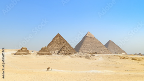 Les c  l  bres pyramides de Gizeh align  es et le Caire