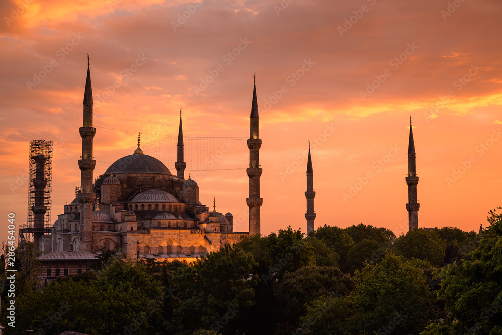 Beautiful Blue mosque with foreground and sunset