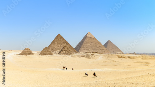 Les célèbres pyramides de Gizeh alignées, des chevaux, un chameau et le Caire