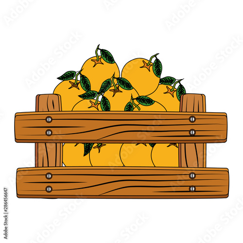 fresh oranges fruits in wooden box