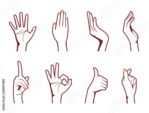Female hand gesture (hand sign) vector illustration set / ok sign, thumb up , finger heart etc. 