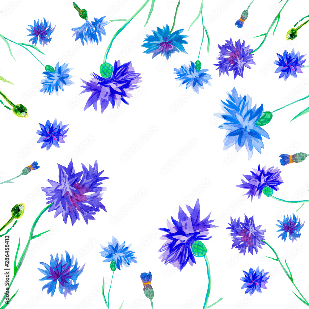 Framework of watercolor blue cornflowers