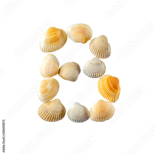 Letter "b" composed from seashells, isolated on white background
