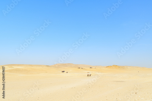 Fototapeta Naklejka Na Ścianę i Meble -  Le désert égyptien sous un ciel bleu