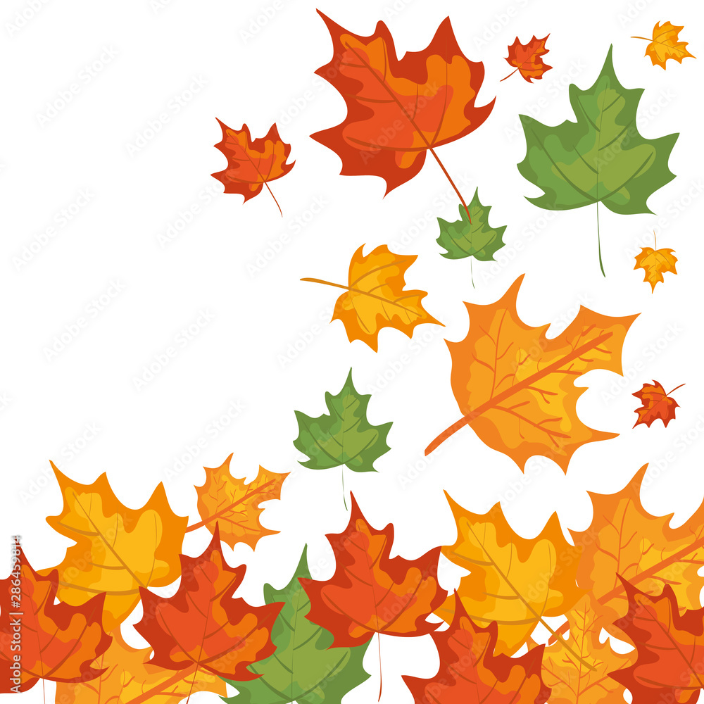 autumn branch and dry maple leafs frame autumn branch and dry maple leafs frame