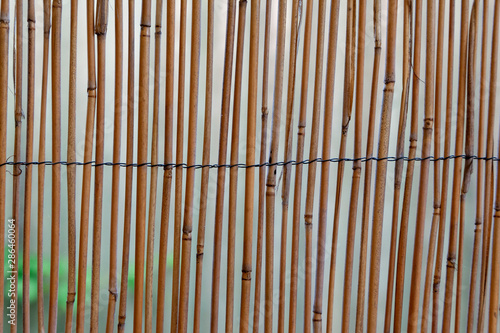 abstract background with stripes
