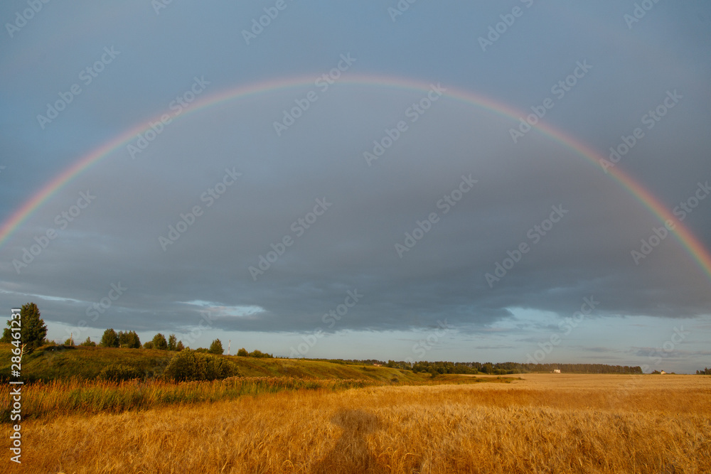 Rainbow in the cloudy sky in golden field Rainbow in the cloudy sky in golden field