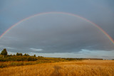 Rainbow in the cloudy sky in golden field