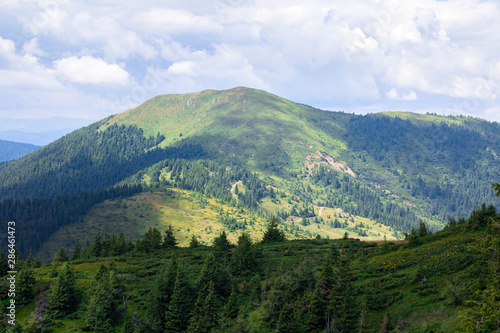 yellow mountain ridge surrounded with green forest