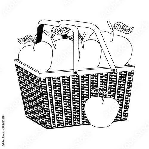 fresh apples fruits in basket straw