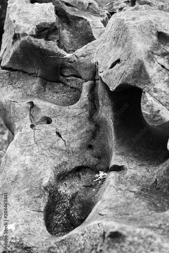 Black and white photo of a strangely shaped rock expression Black and white photo of a strangely shaped rock expression