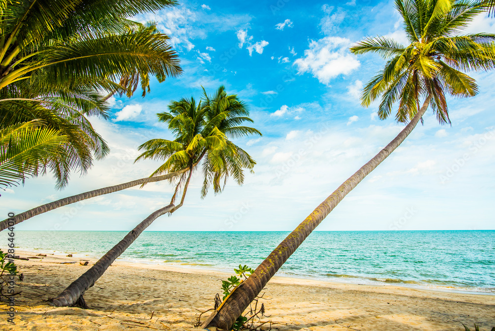  Coconut trees by the beach.Summer vacation with coconut tree background.beach in thailand in summer. - obrazy, fototapety, plakaty 
