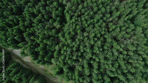 Looking down at the forest