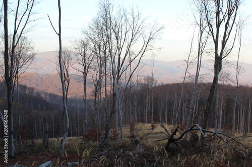 Wallpaper Mural view of mountains Torontodigital.ca