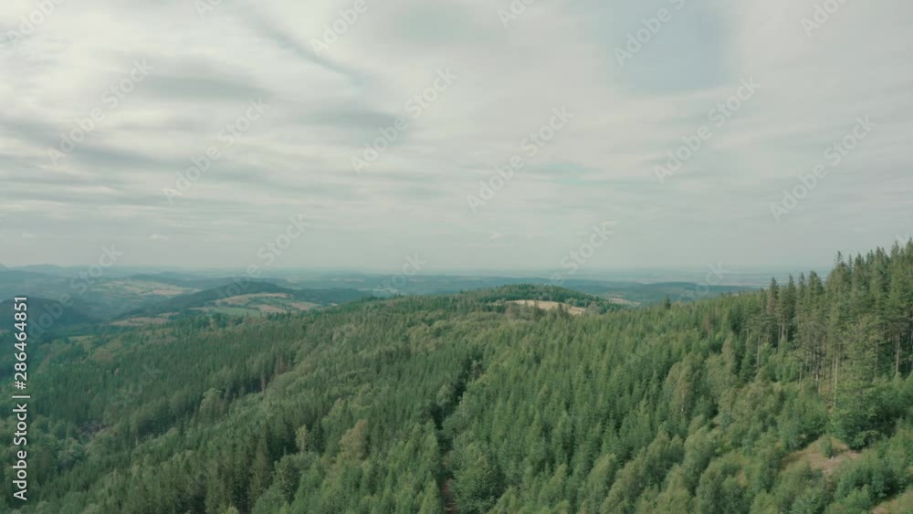 Flight over the forest to the left Flight over the forest to the left