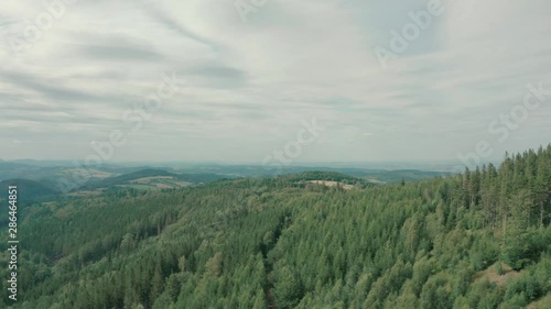 Flight over the forest to the left