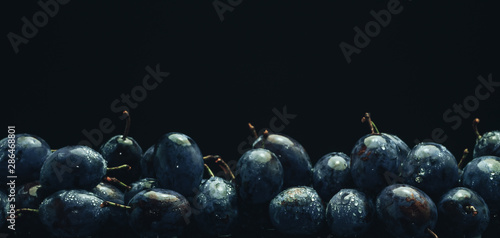 Beautiful fresh blue pulms on a black glass table and dark background. photo