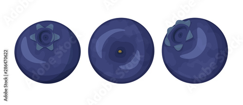 Set of Blueberries and leaves isolated on white background. Realistic Vector illustration isolated on white