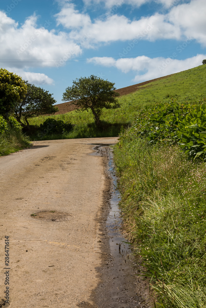 Country road among the fields, Azores Islands
