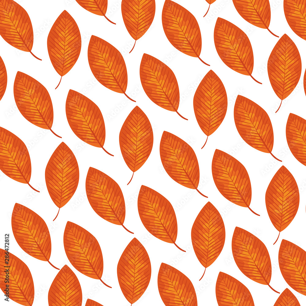 autumn dry leafs nature pattern autumn dry leafs nature pattern