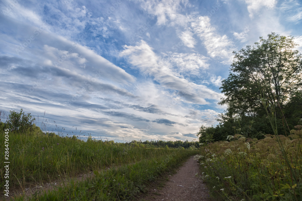 A rural dirt road extending far beyond a bend in a field in which lush grass grows. Picturesque clouds extending far beyond the horizon. Photogarphy from a lower angle A magnificent landscape.