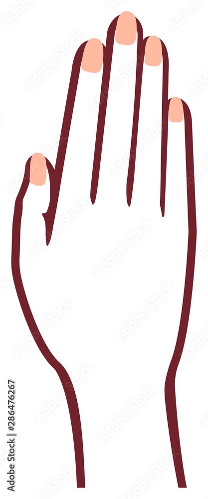 Female hand gesture (hand sign) vector illustration Female hand gesture (hand sign) vector illustration