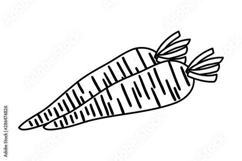 fresh carrots vegetable nature icon