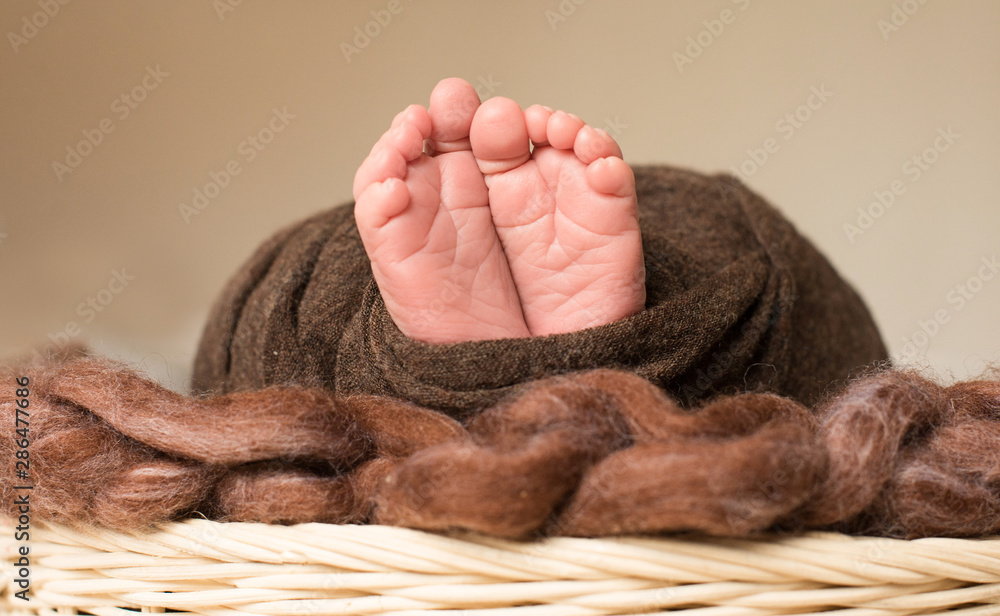 Fototapeta premium feet of the newborn baby, fingers on the foot, maternal care, love and family hugs, tenderness