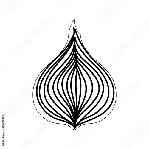 fresh onion vegetable nature icon