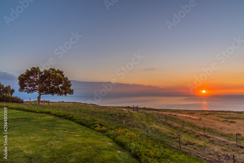 Orange sunset over ocean by field with koa tree and mountains photo