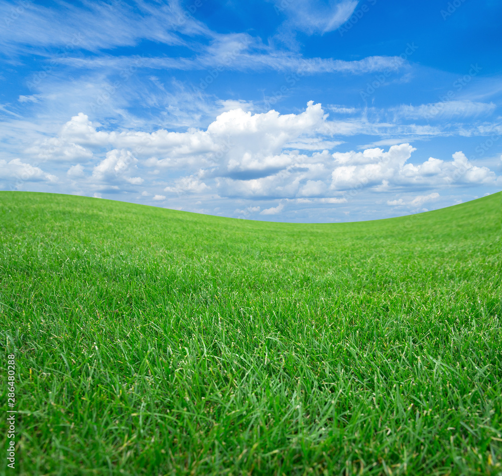 Green field and meadows against the blue sky with white clouds. Green field and meadows against the blue sky with white clouds.