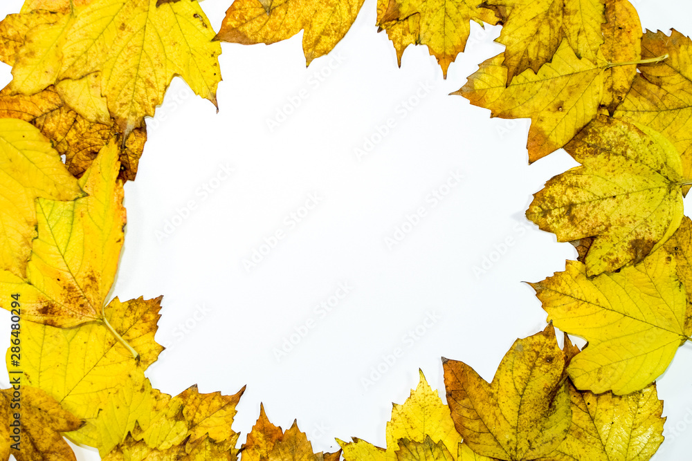 Autumn yellow maple leaves on a wooden background. Autumn yellow maple leaves on a wooden background.