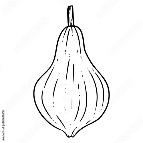Cute autumn pumpkin hand drawn doodle. Halloween harvest fest symbol
